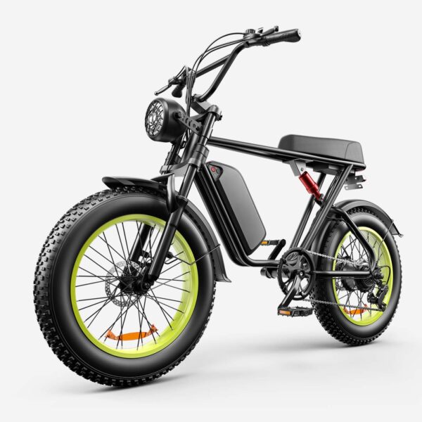 LONGSNG C91 2000W Adult Electric BIKE - Image 2