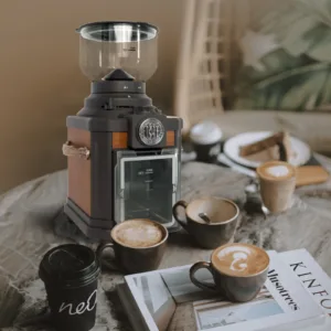 WING KWONG Coffee Grinder 16-Stage Grinding Level Adjustment